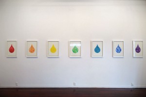 Rainbow Colours (Installation view) 2015